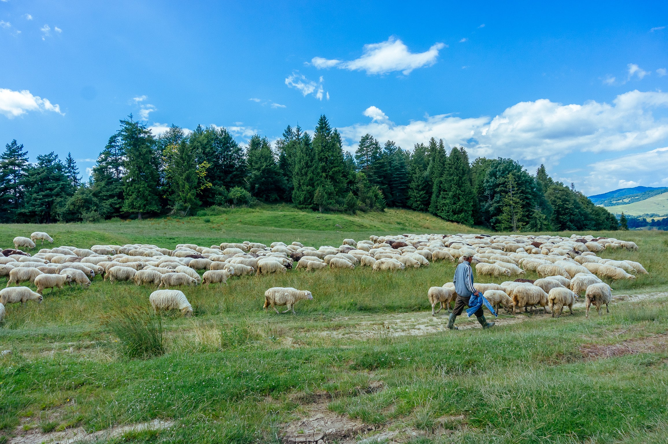 Pieniny | Osada Malinów